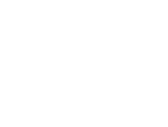 Softec Consulting